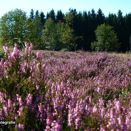 Haus Sonnenhuegel Apartament *