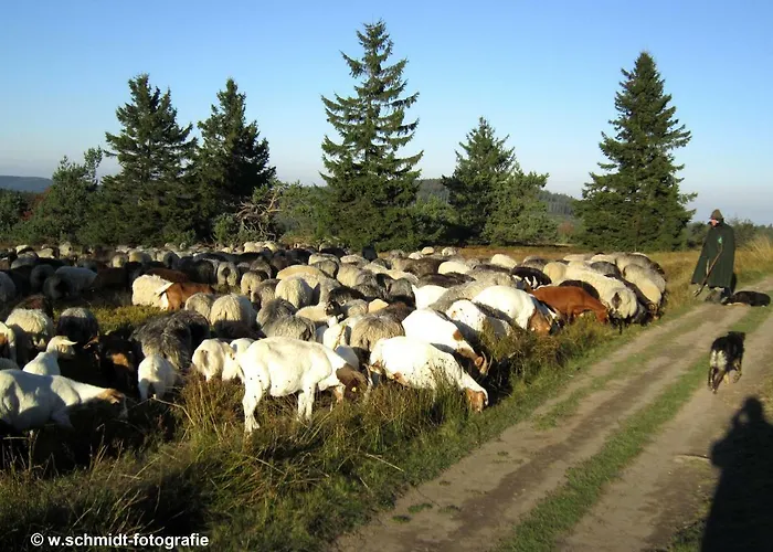 Haus Sonnenhuegel Apartament *