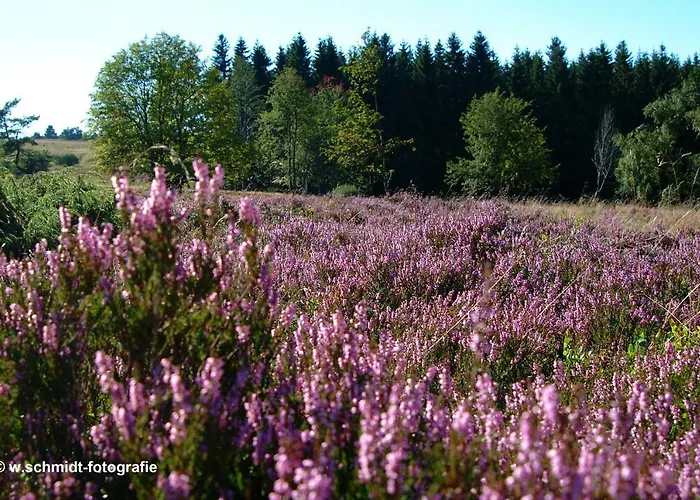 Haus Sonnenhuegel Apartament *